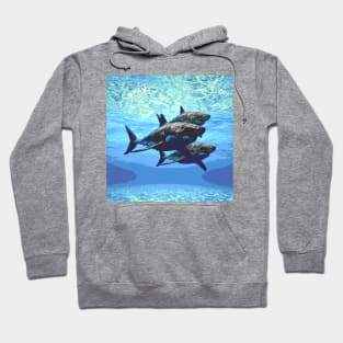 Shark Trio Hoodie